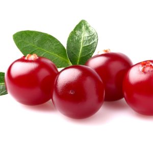 Huile de Cranberry BIO