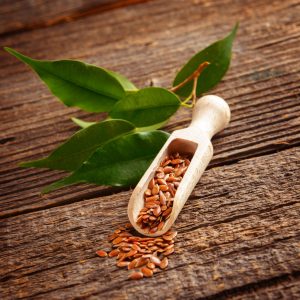 Resplanta Linseed MB